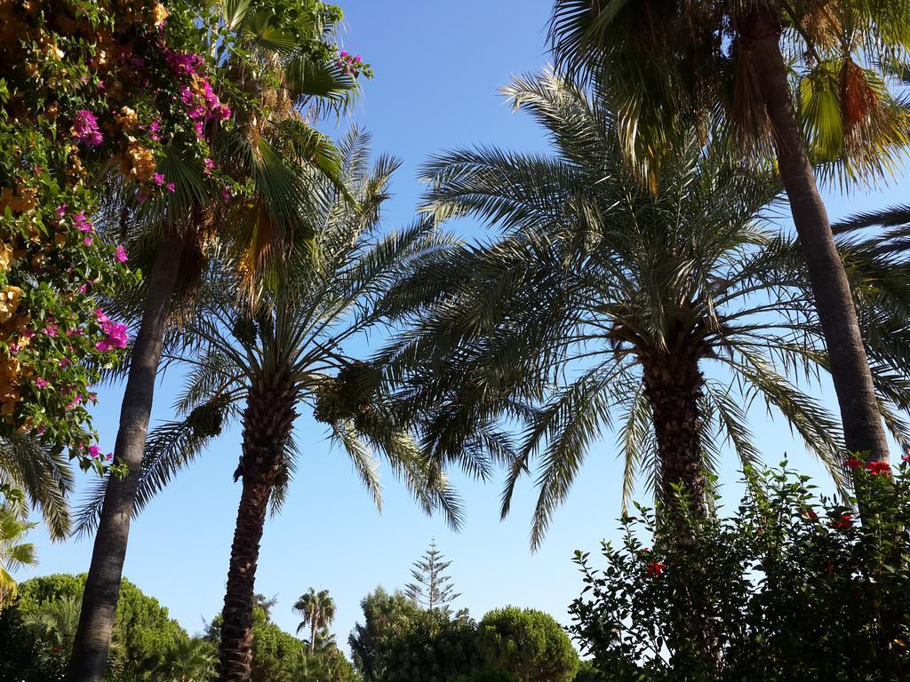 Club Turtas Beach Konaklı Εξωτερικό φωτογραφία